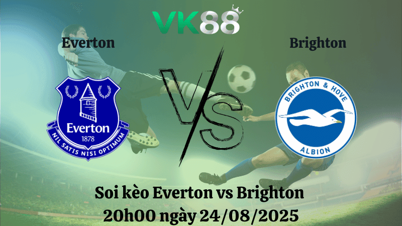 VK88 Nhận định soi kèo Everton vs Brighton 20h00 ngày 24/08/2025 – Ngoại Hạng Anh