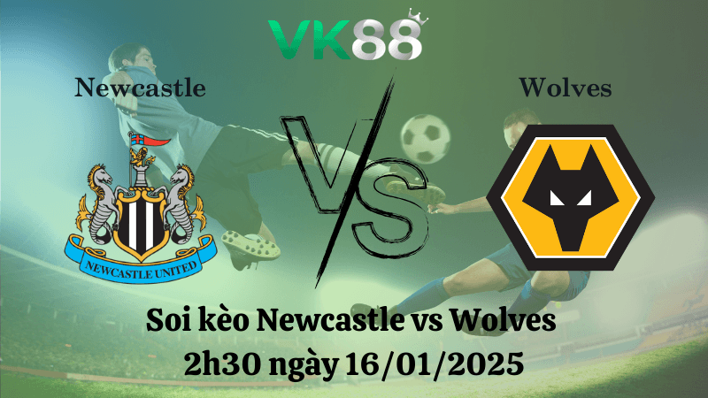 VK88 Nhận định soi kèo Newcastle vs Wolves 2h30 ngày 16/01/2025 - Premier League