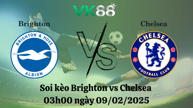 VK88 Nhận định soi kèo Brighton vs Chelsea 03h00 ngày 09/02/2025 - FA Cup